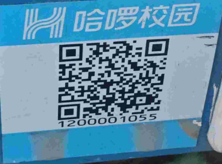 image-20260106134939643