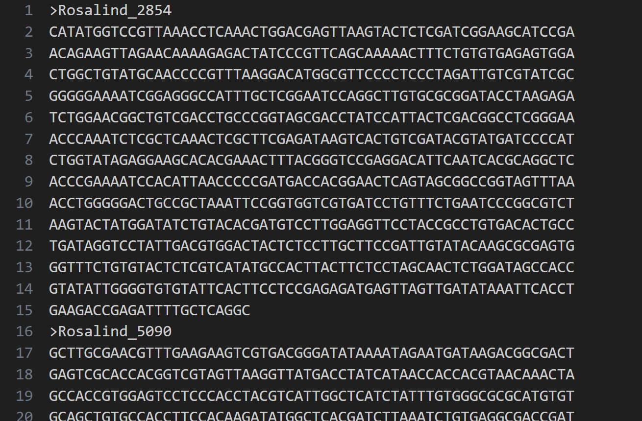 image-20260113232934994